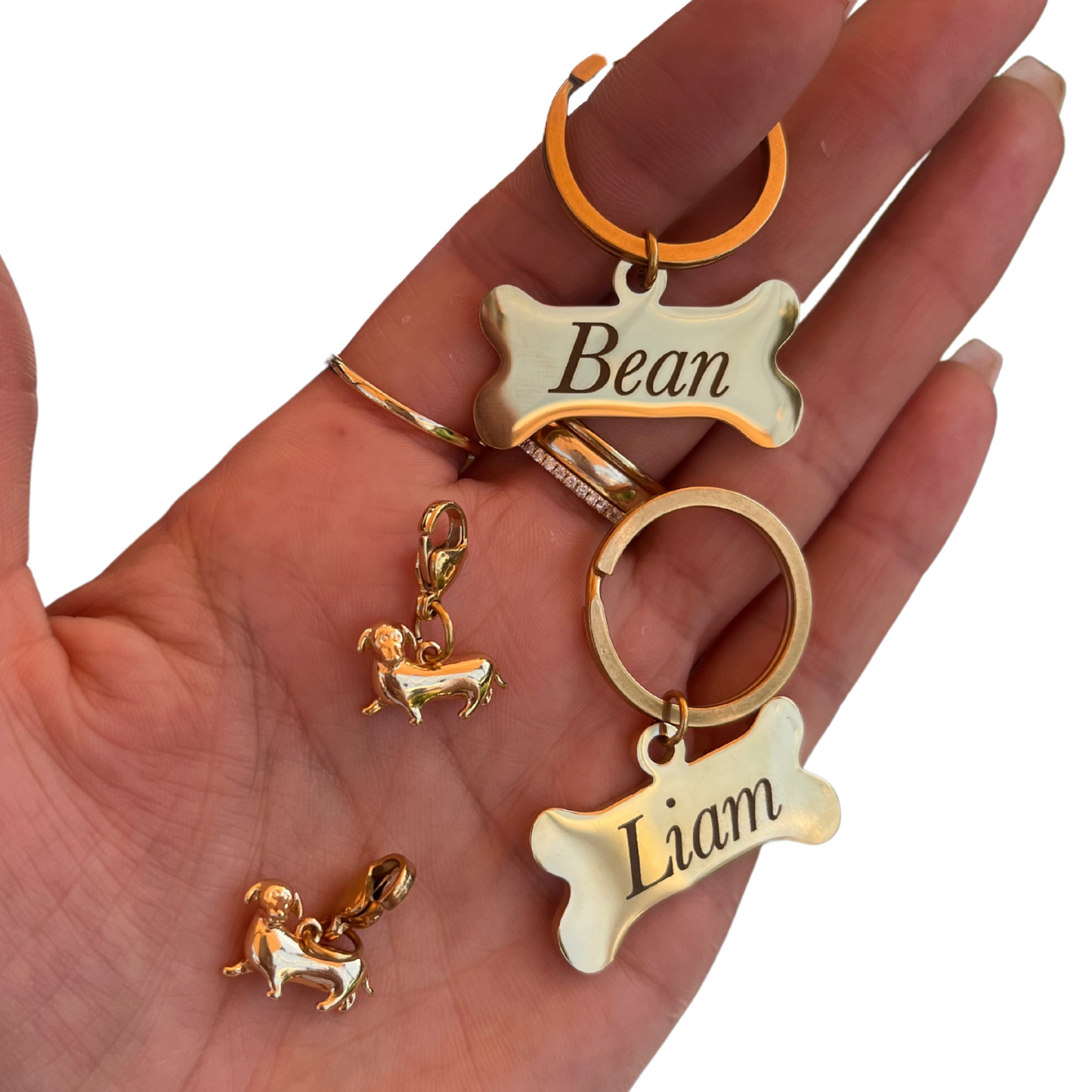 Engravable Bone Dog Tag